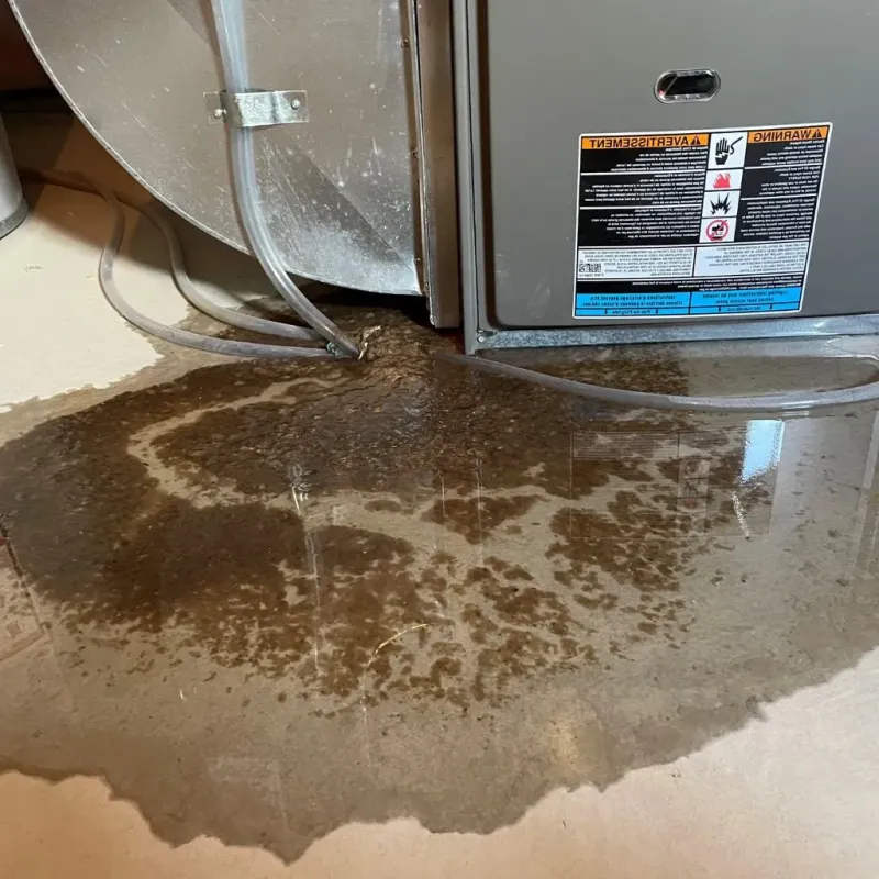 Pipe Burst and Leak Restoration in Upper Fruitland, NM