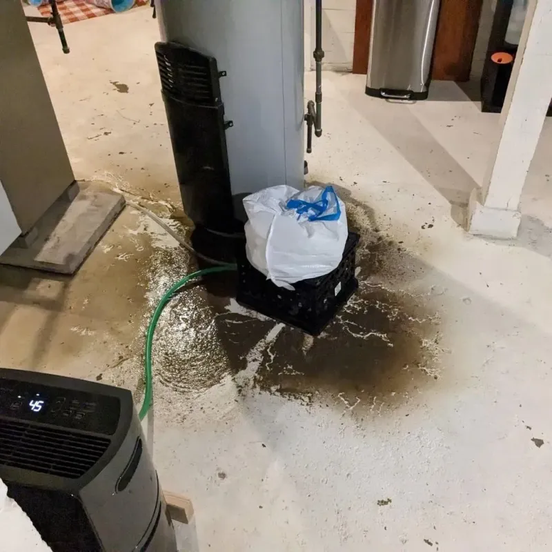 Sewage Backup Cleanup Service in Upper Fruitland, NM